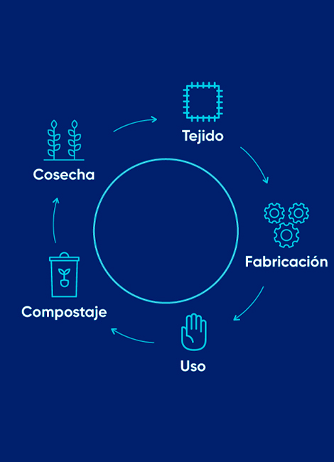 ciclo-de-vida-marvelmat